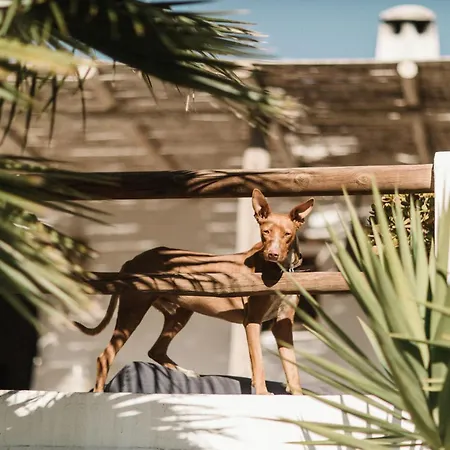 Mill.space * كاربونيذاس