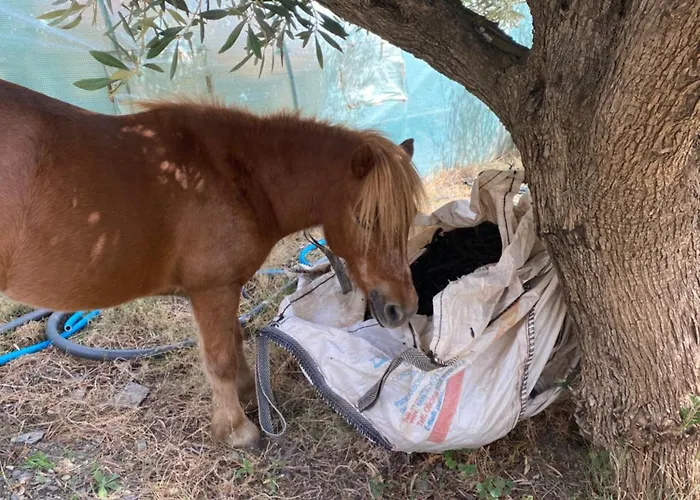 Mill.space ゲストハウス *